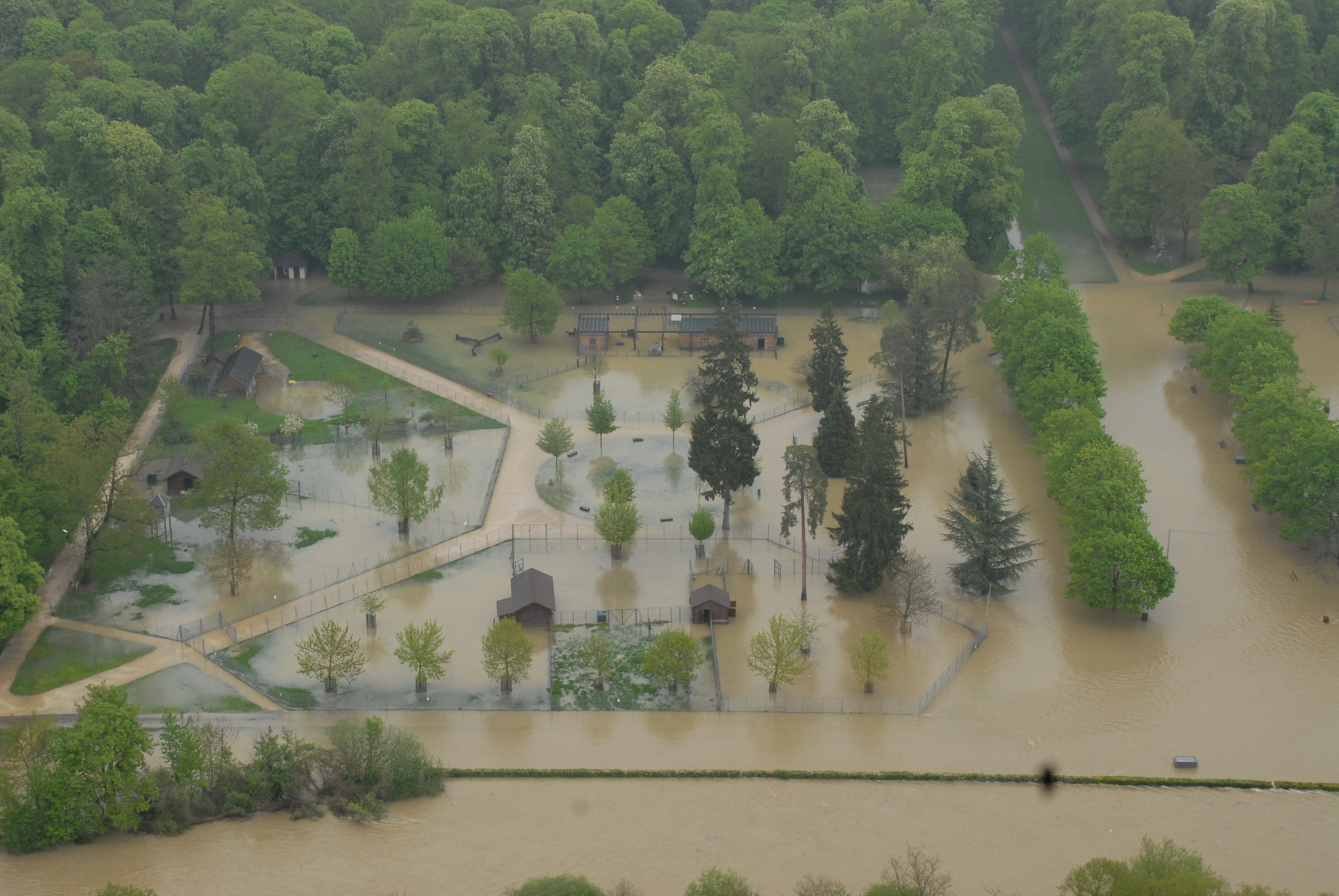 Crue de l'Ouche, en mai 2013, à Dijon, parc de la Colombière, en Côte d'Or