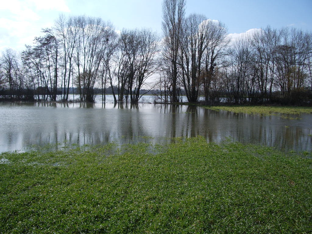 Crue de la rivière neuve, en mars 2006, à Arc sur Tille en Côte d'Or