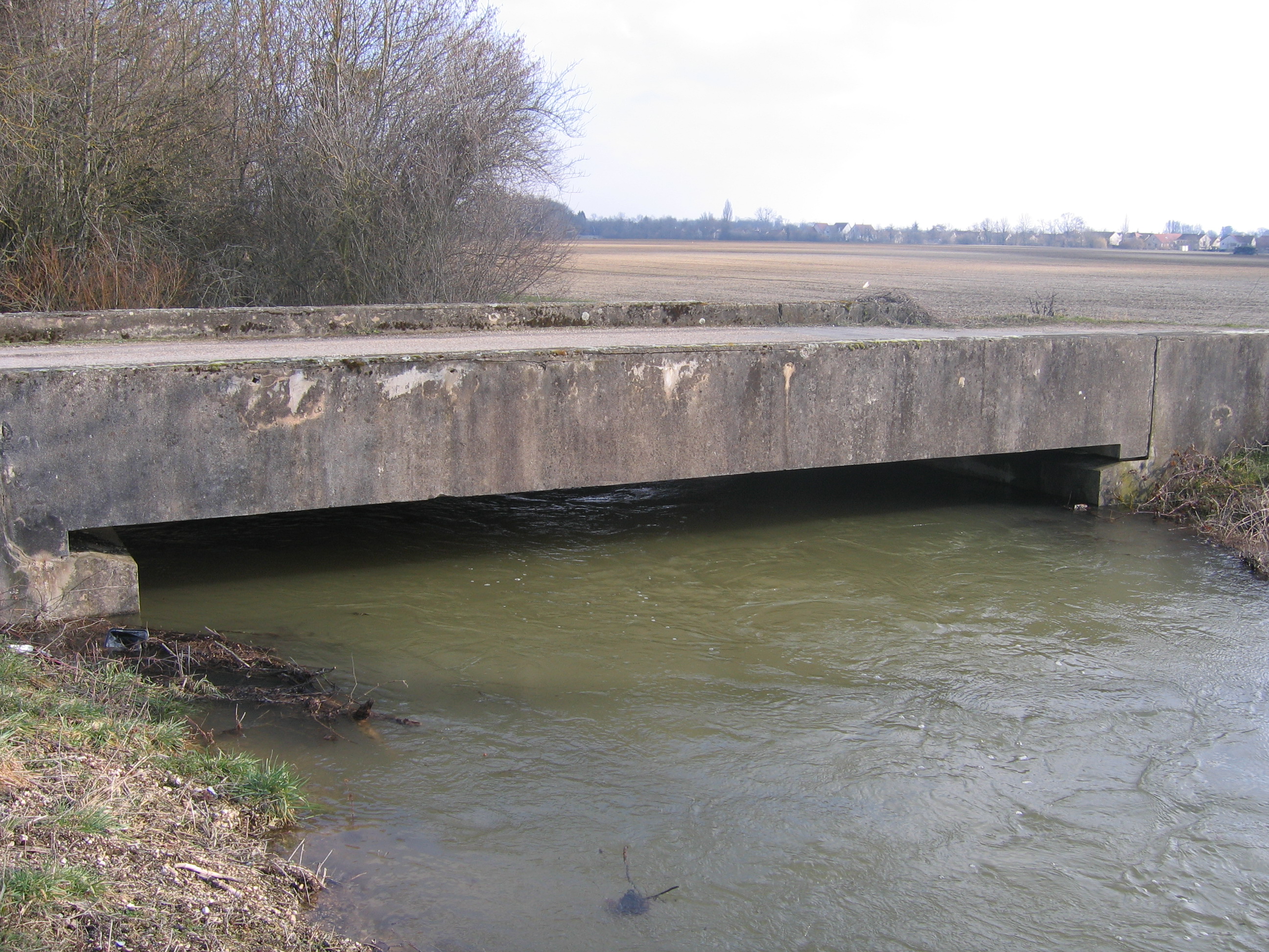 Crue de la rivière neuve, en mars 2006, à Arc sur Tille en Côte d'Or