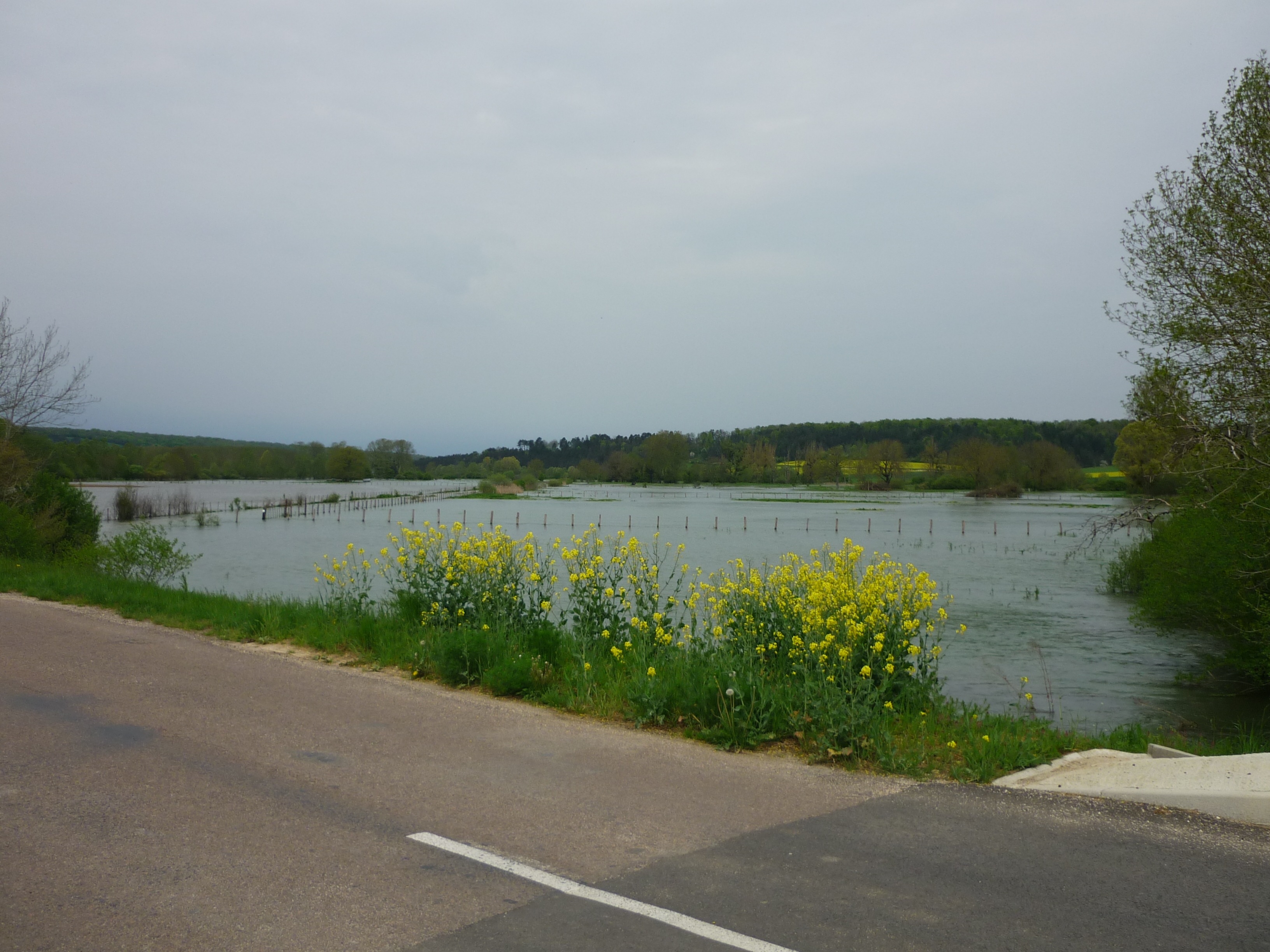 Crue de l'ource, en mai 2013, à Autricourt en Côte d'Or