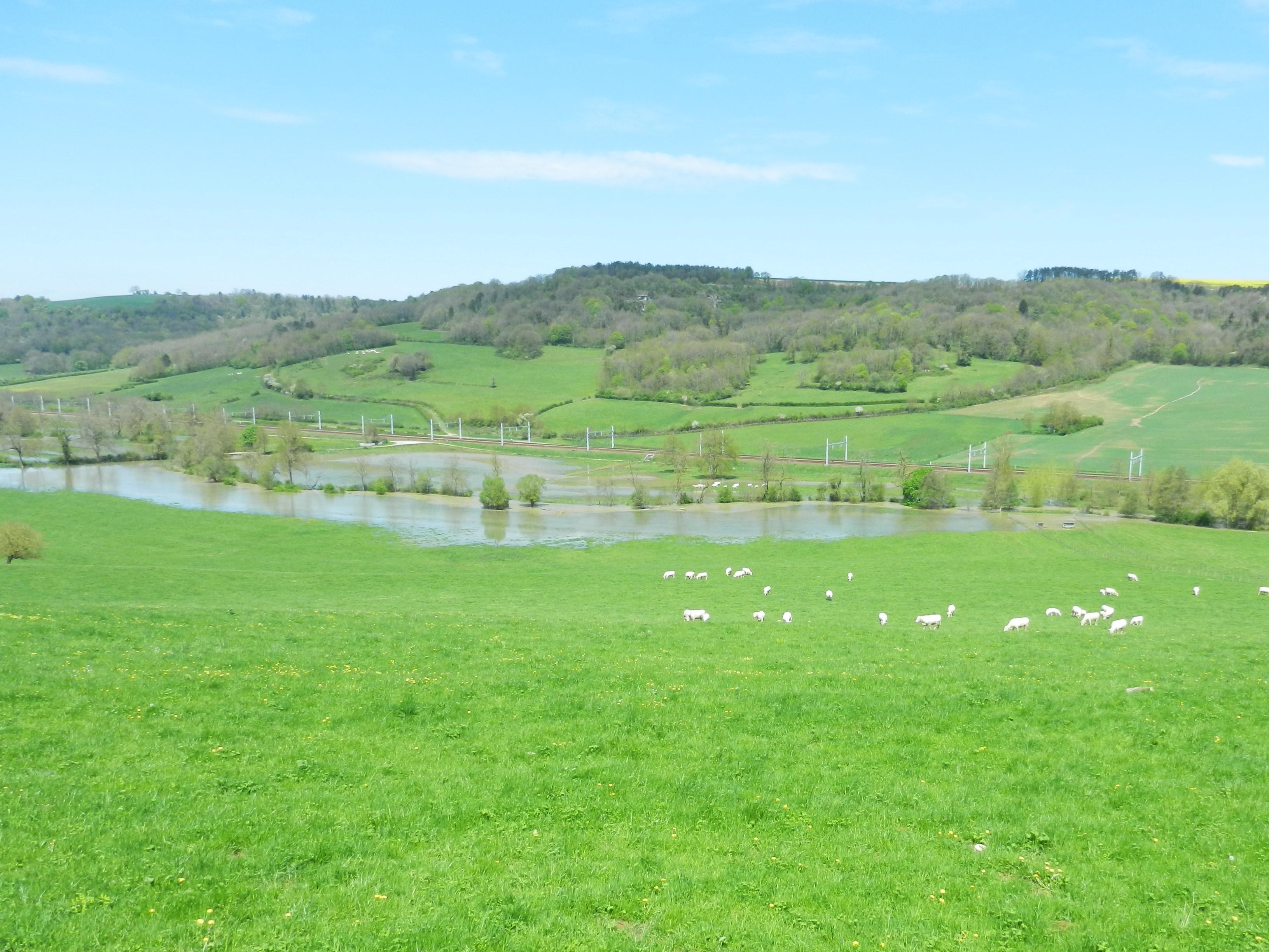 Crue de l'Oze, en mai 2013, à Darcey en Côte d'Or