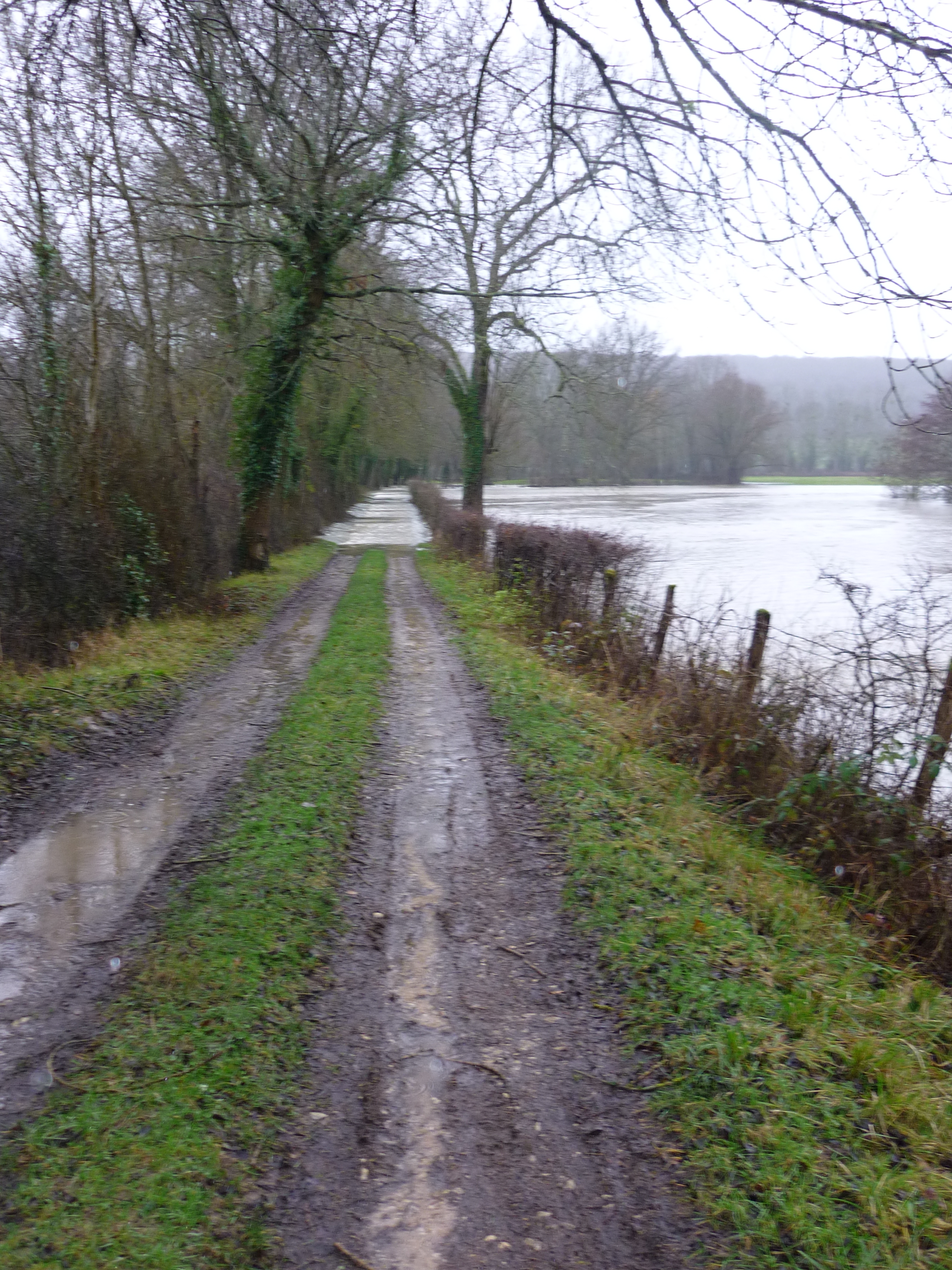 Crue de l'Armance, en janvier 2018, à Dornecy dans la Nièvre.