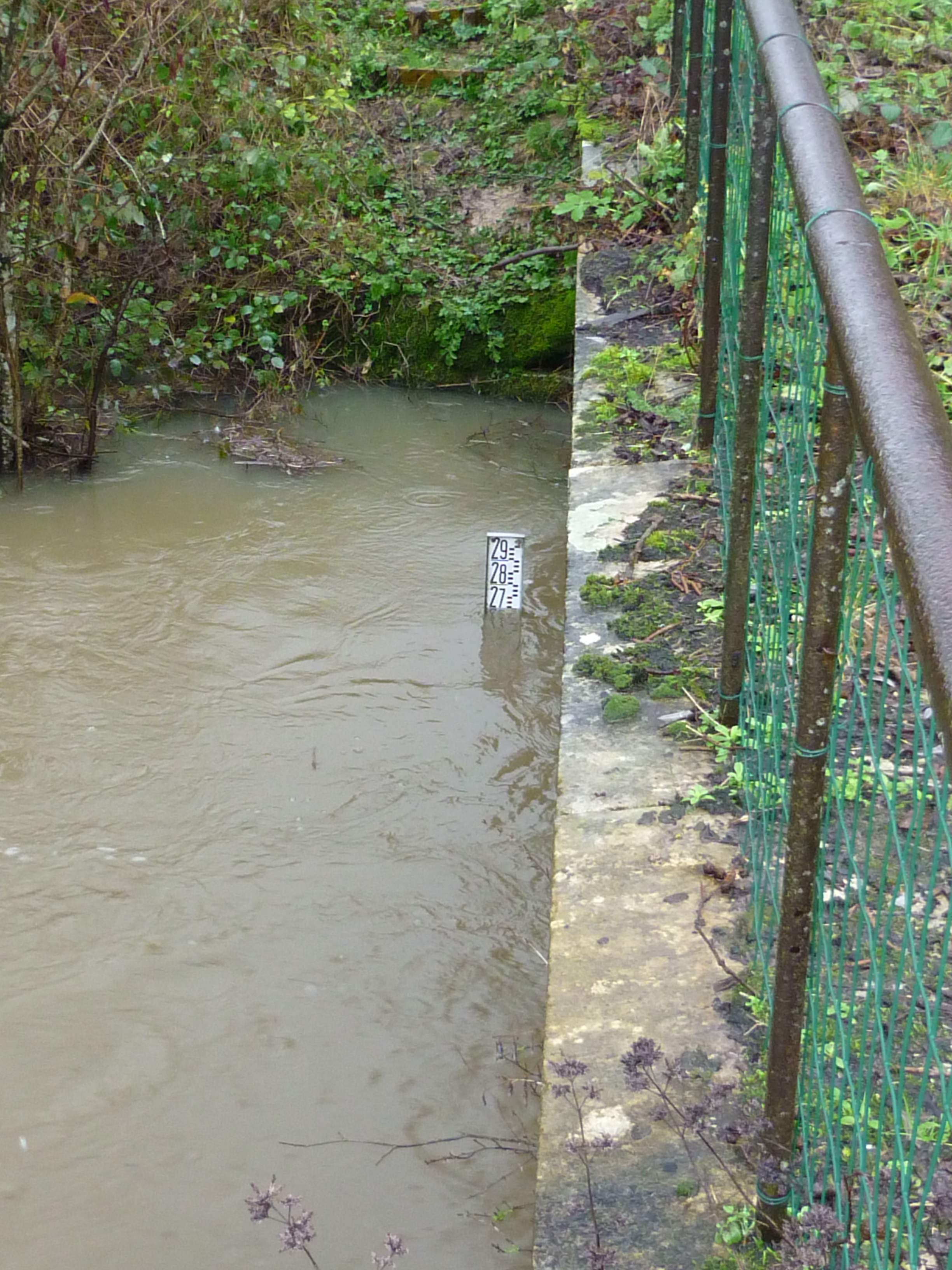 Crue de l'Armance, en janvier 2018, à Dornecy dans la Nièvre