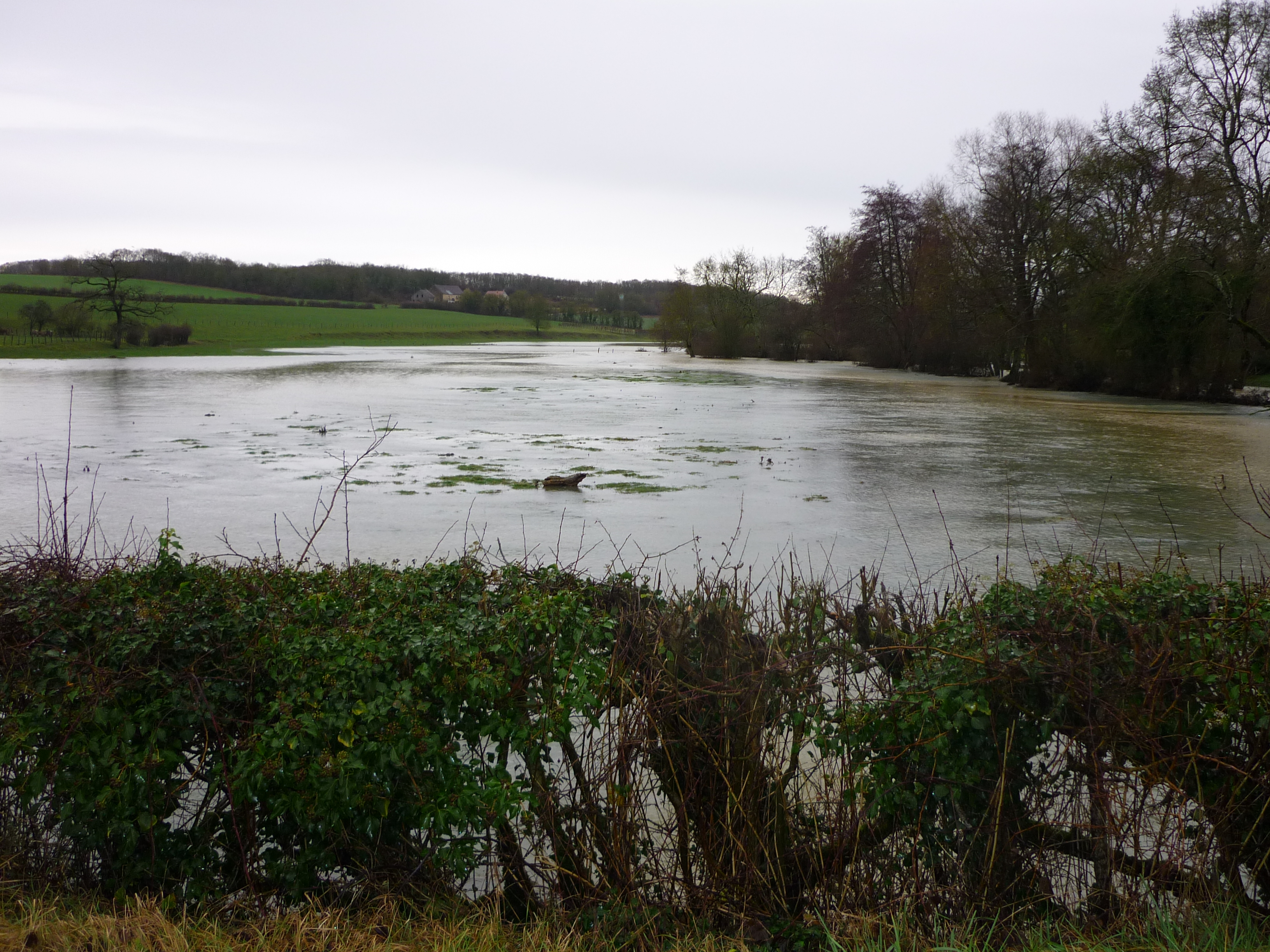 Crue du Beuvron, en janvier 2018, à Ouagne, hameau de Champmoreau, rue du ciseau, dans la Nièvre