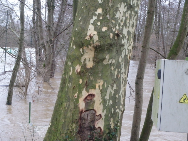 Crue de la Bourbince, en janvier2018, à Blanzy, vers le stade, en Saône-et-Loire