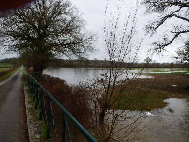 Crue de l'Alène, en janvier 2018, à Cercy la Tour, route de Fours, dans la Nièvre