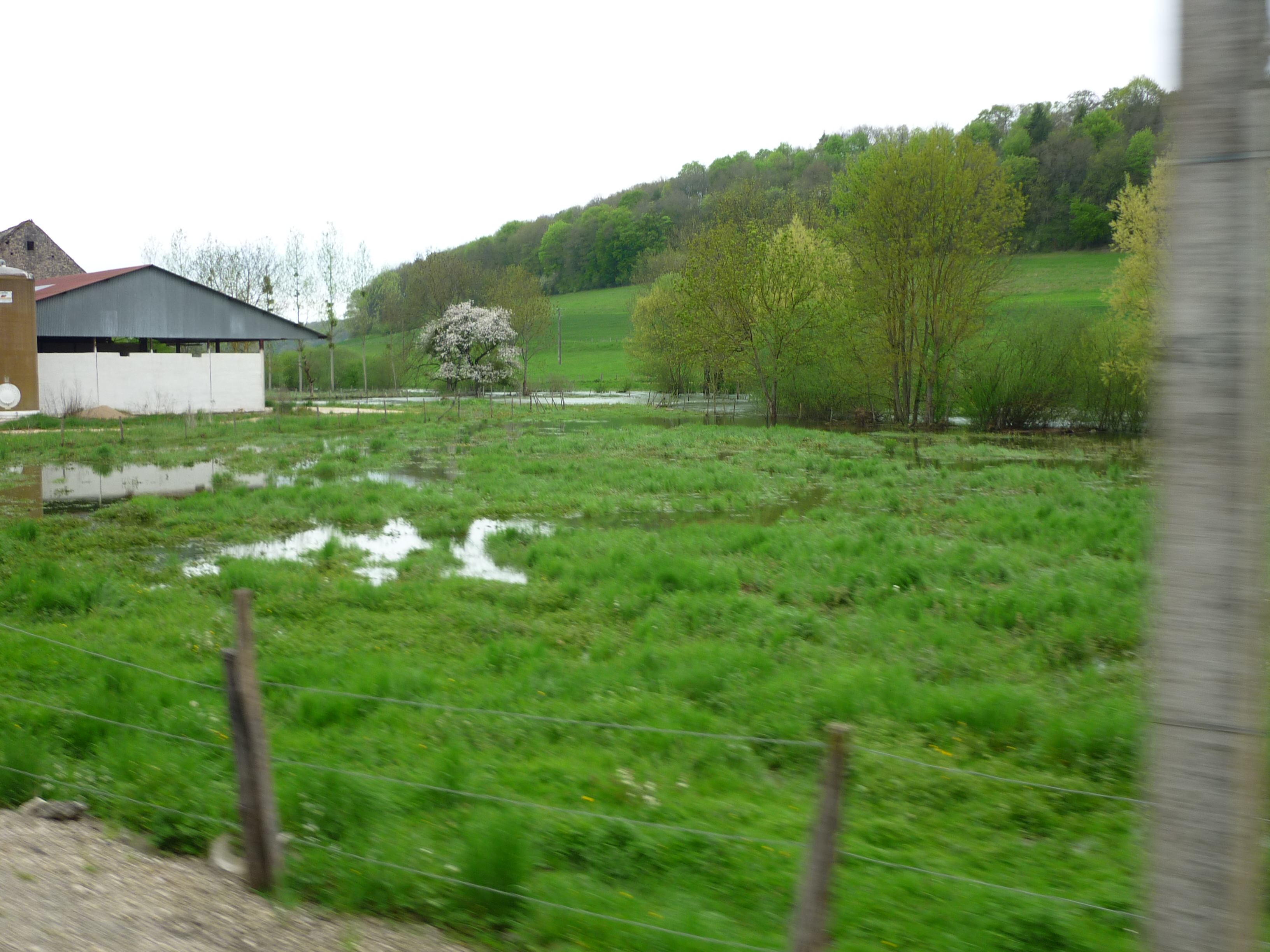 Crue de la Seine, en mai 2013, à Saint Marc sur Seine en Côte d'Or