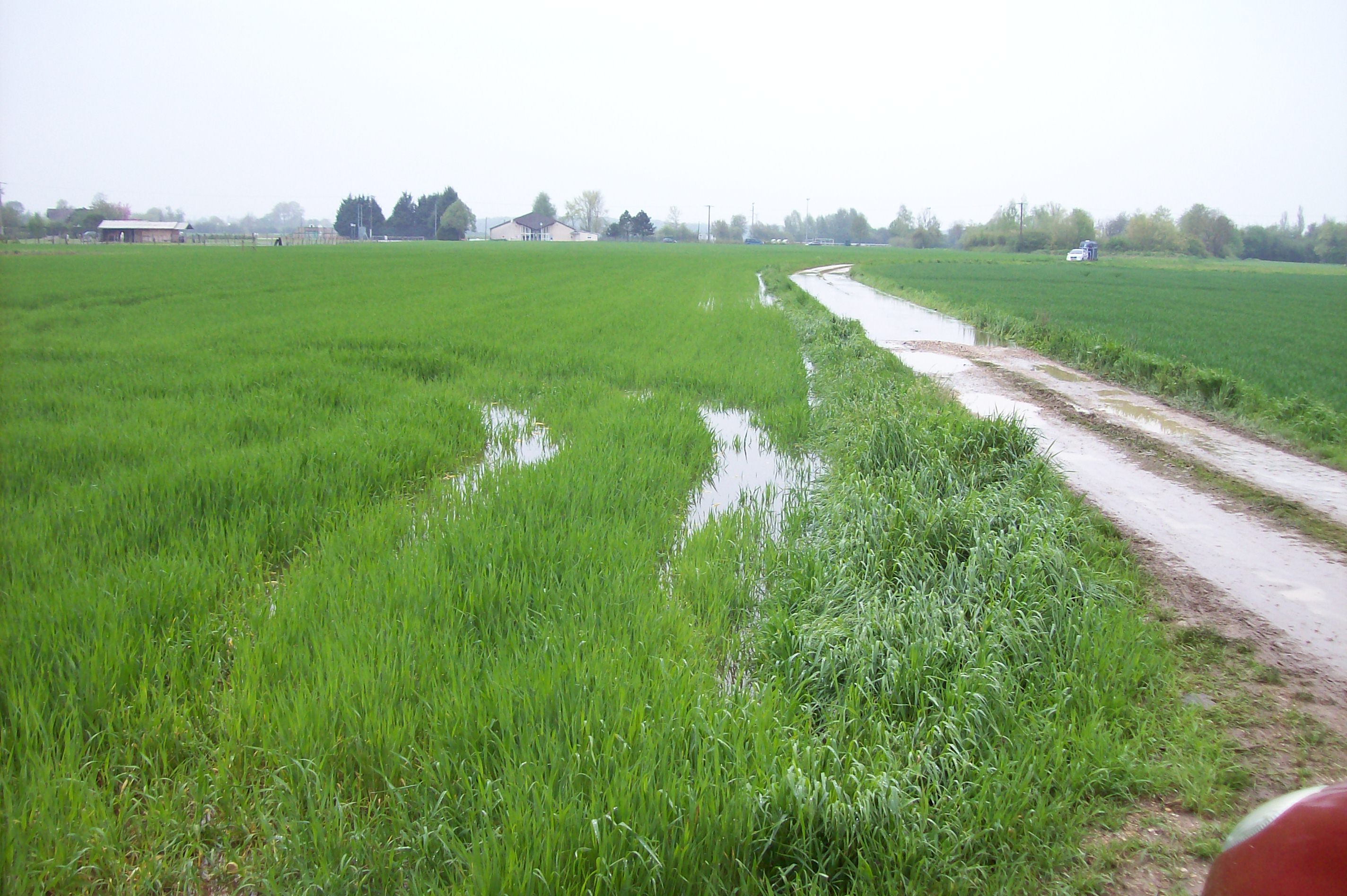 Crue de la Norges, en mai 2013, à Magny sur Tille en mai 2013