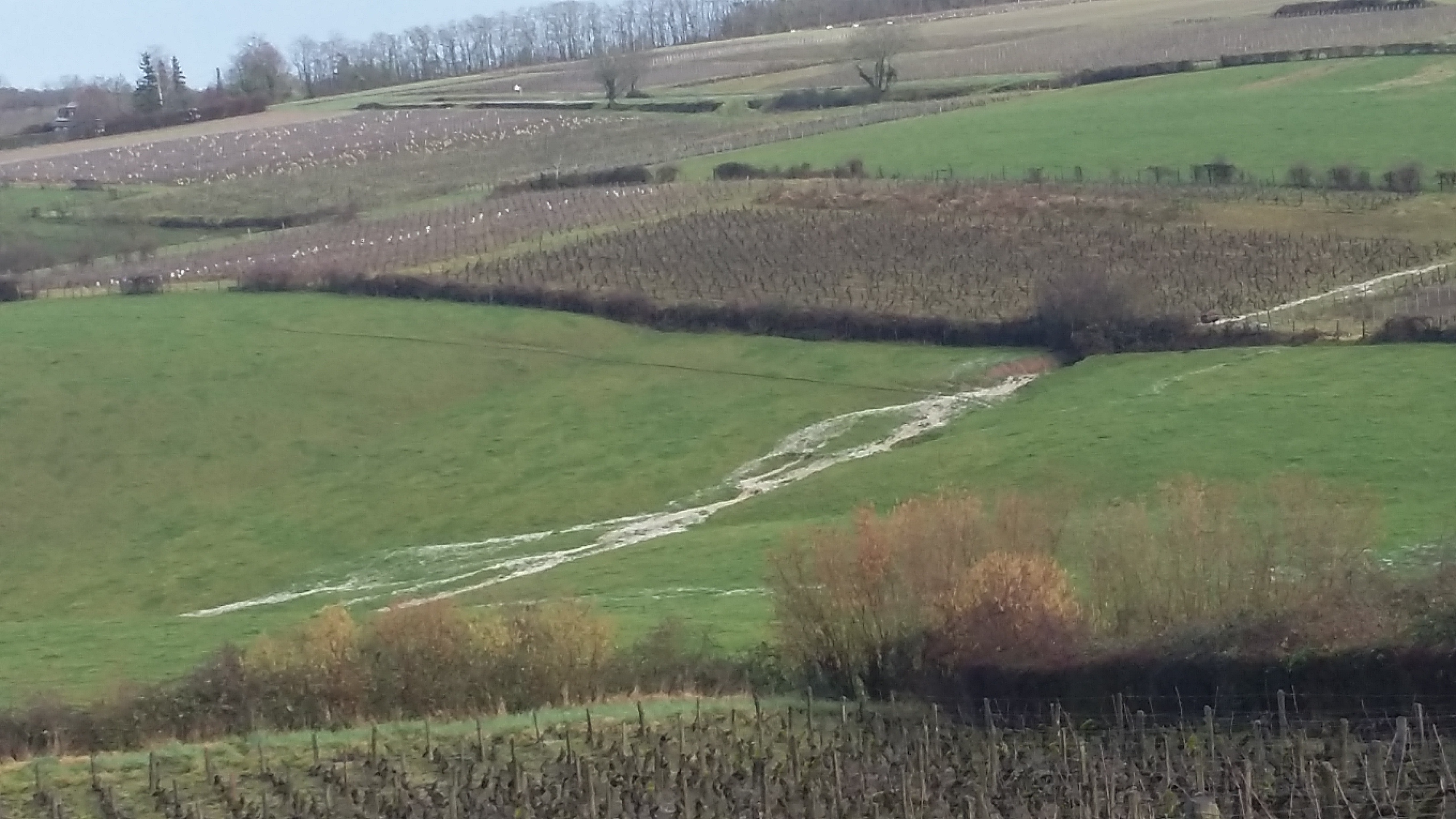 ruissellement dans le chalonnais en 2016